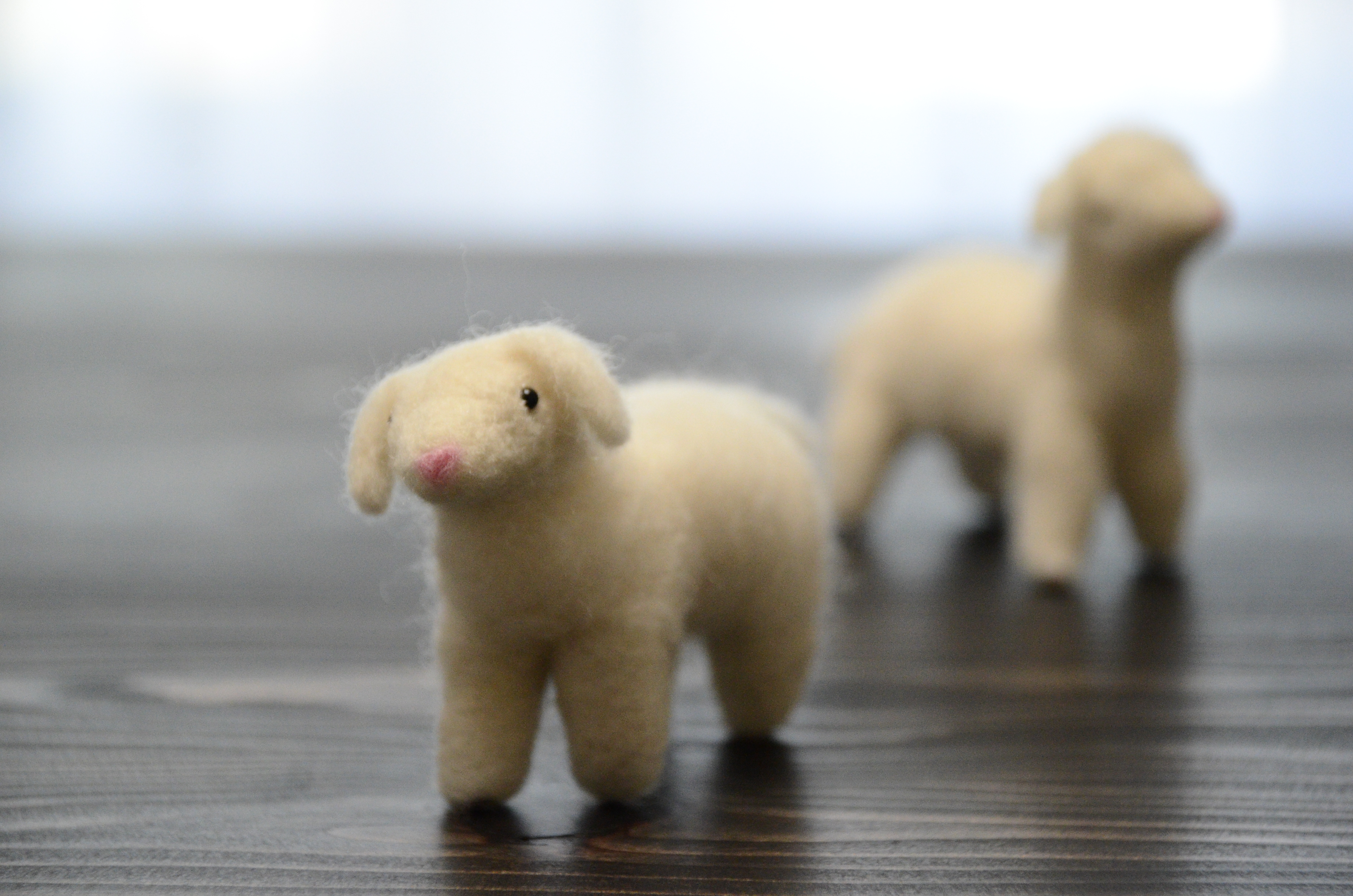 Photo of needle felted lambs